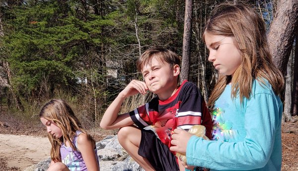 Les hamsters peuvent-ils vivre en groupe ?