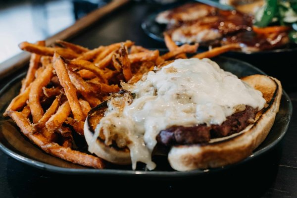 Comment prendre soin des oreilles uniques d'un chat American Curl ?